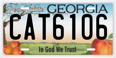 GA license plate CAT6106