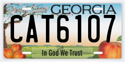 GA license plate CAT6107