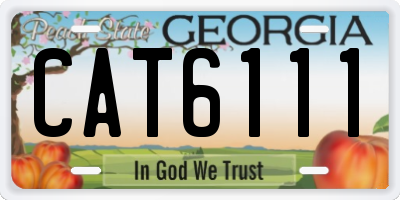 GA license plate CAT6111