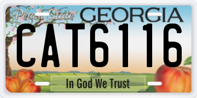 GA license plate CAT6116