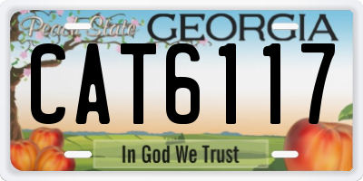 GA license plate CAT6117