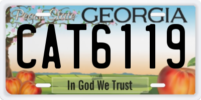 GA license plate CAT6119
