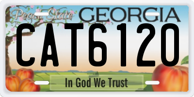 GA license plate CAT6120