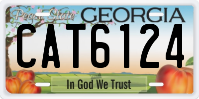 GA license plate CAT6124