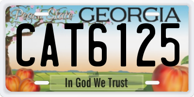 GA license plate CAT6125