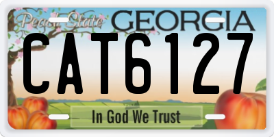 GA license plate CAT6127