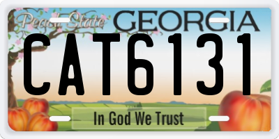 GA license plate CAT6131