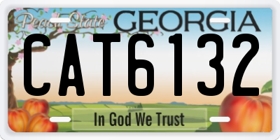 GA license plate CAT6132