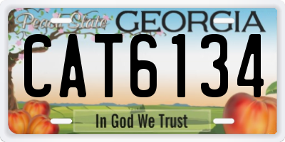 GA license plate CAT6134