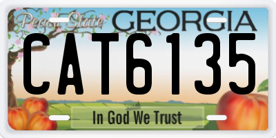 GA license plate CAT6135