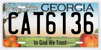 GA license plate CAT6136