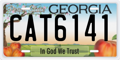 GA license plate CAT6141