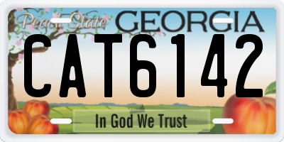 GA license plate CAT6142