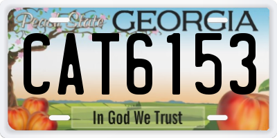 GA license plate CAT6153