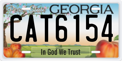 GA license plate CAT6154