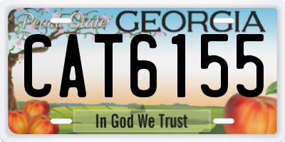 GA license plate CAT6155