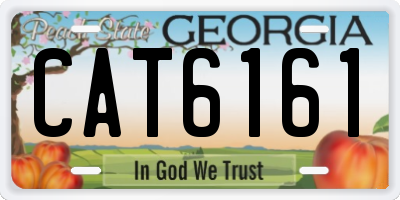 GA license plate CAT6161