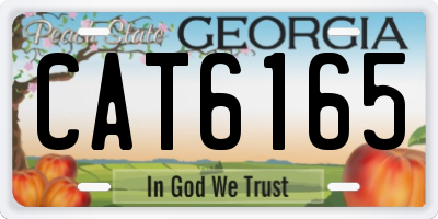 GA license plate CAT6165