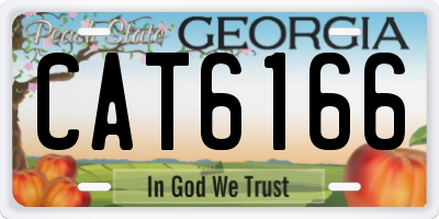 GA license plate CAT6166