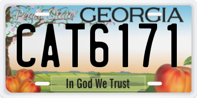 GA license plate CAT6171