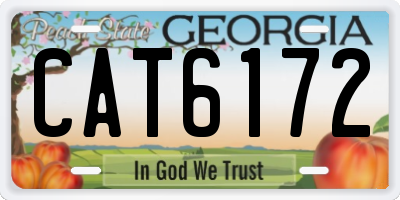 GA license plate CAT6172