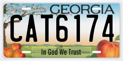 GA license plate CAT6174