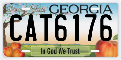 GA license plate CAT6176