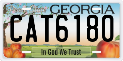 GA license plate CAT6180