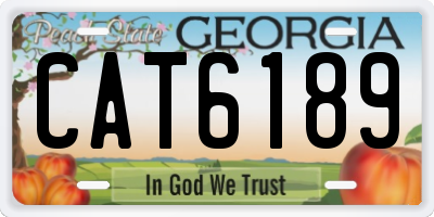 GA license plate CAT6189