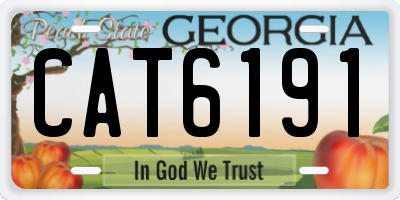 GA license plate CAT6191