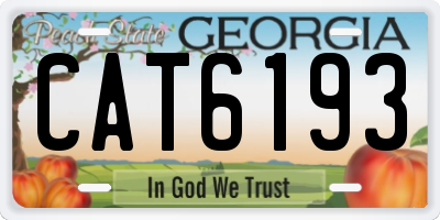GA license plate CAT6193
