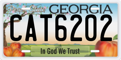 GA license plate CAT6202