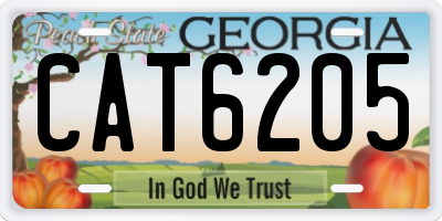 GA license plate CAT6205