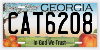 GA license plate CAT6208