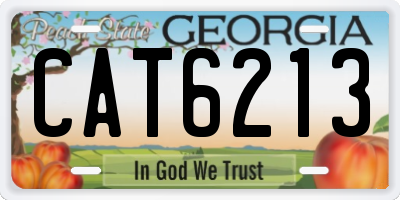 GA license plate CAT6213