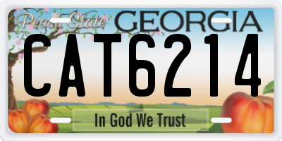 GA license plate CAT6214