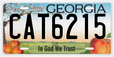 GA license plate CAT6215