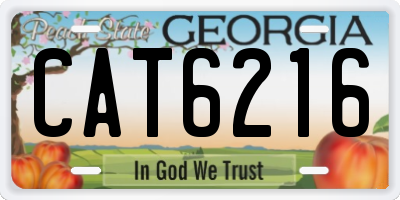 GA license plate CAT6216