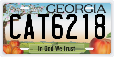 GA license plate CAT6218