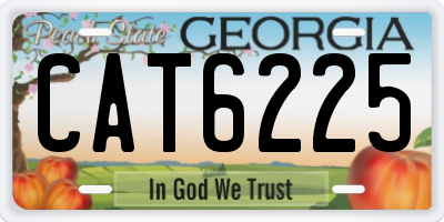 GA license plate CAT6225