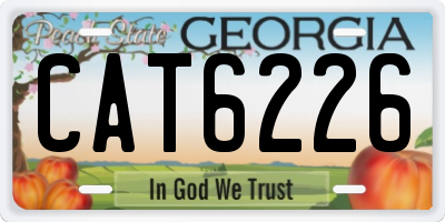 GA license plate CAT6226