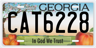 GA license plate CAT6228