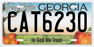GA license plate CAT6230
