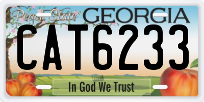 GA license plate CAT6233