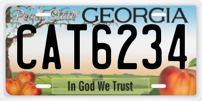 GA license plate CAT6234