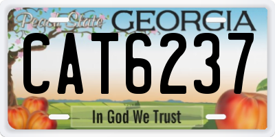 GA license plate CAT6237
