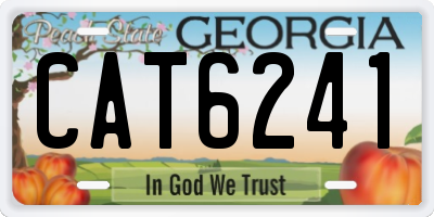 GA license plate CAT6241
