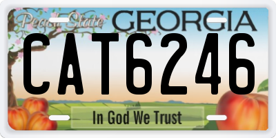 GA license plate CAT6246