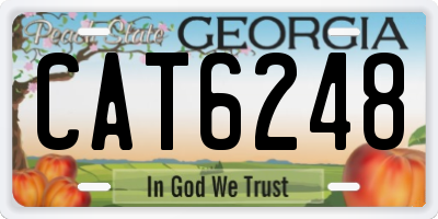 GA license plate CAT6248