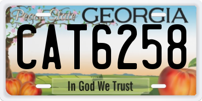 GA license plate CAT6258